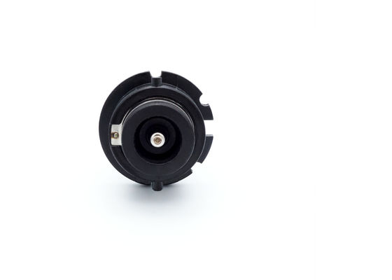 D4R VERSTECKTE Xenon-Scheinwerfer-Birnen